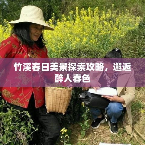 广告资源 第18页