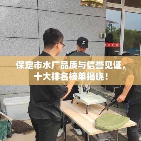 保定市水厂品质与信誉见证，十大排名榜单揭晓！