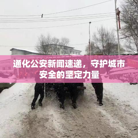 通化公安新闻速递，守护城市安全的坚定力量