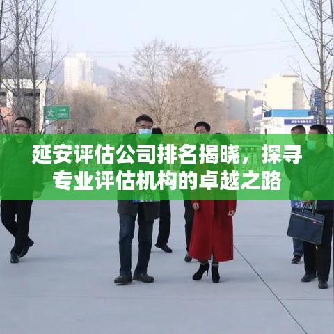 延安评估公司排名揭晓，探寻专业评估机构的卓越之路