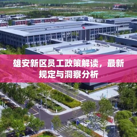 雄安新区员工政策解读，最新规定与洞察分析