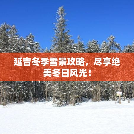 延吉冬季雪景攻略，尽享绝美冬日风光！