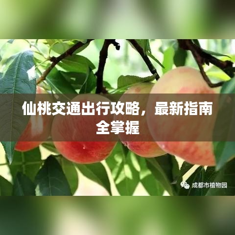 仙桃交通出行攻略，最新指南全掌握