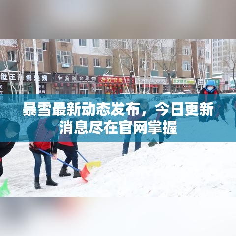 暴雪最新动态发布，今日更新消息尽在官网掌握