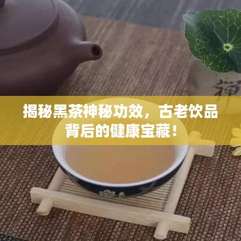 揭秘黑茶神秘功效，古老饮品背后的健康宝藏！