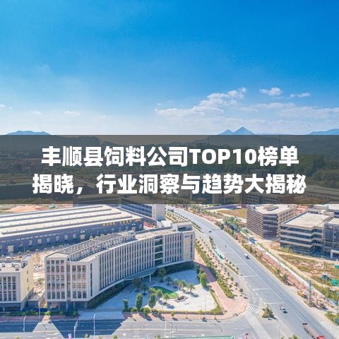 丰顺县饲料公司TOP10榜单揭晓，行业洞察与趋势大揭秘！