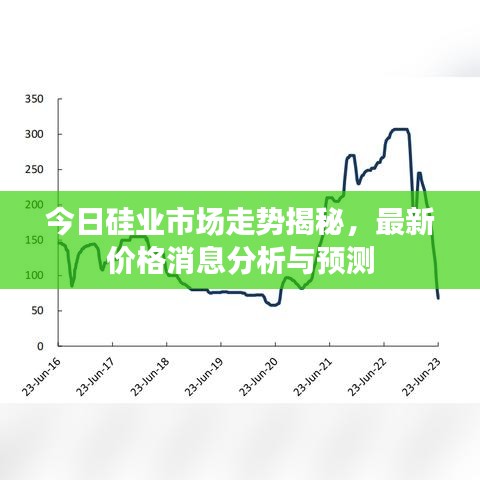 今日硅业市场走势揭秘，最新价格消息分析与预测