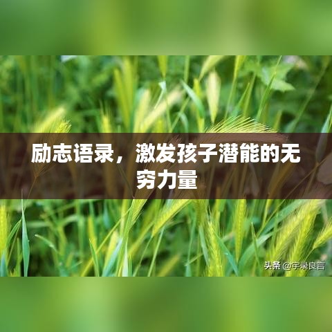 励志语录，激发孩子潜能的无穷力量