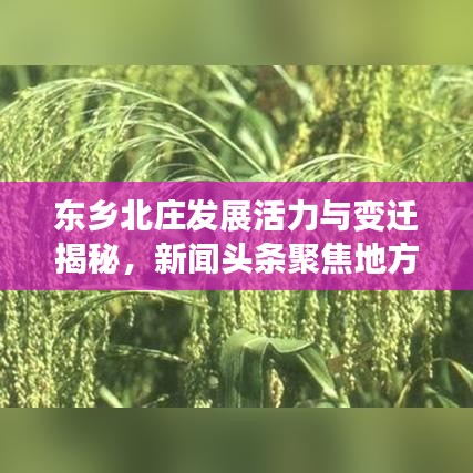 东乡北庄发展活力与变迁揭秘，新闻头条聚焦地方动态