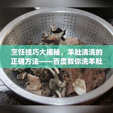 烹饪技巧大揭秘，羊肚清洗的正确方法——百度教你洗羊肚秘籍