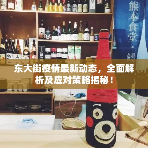 东大街疫情最新动态，全面解析及应对策略揭秘！