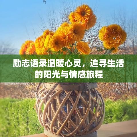 励志语录温暖心灵，追寻生活的阳光与情感旅程