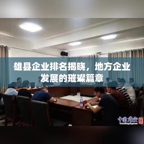 雄县企业排名揭晓，地方企业发展的璀璨篇章