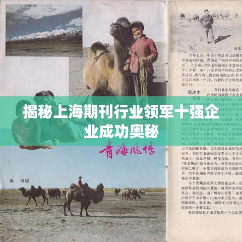 揭秘上海期刊行业领军十强企业成功奥秘