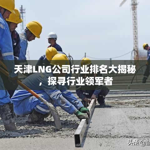 天津LNG公司行业排名大揭秘，探寻行业领军者