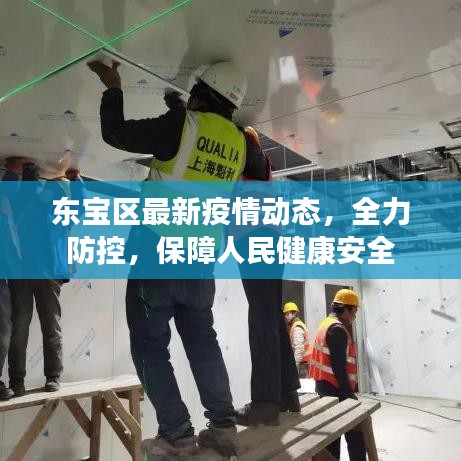东宝区最新疫情动态，全力防控，保障人民健康安全