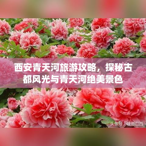 西安青天河旅游攻略，探秘古都风光与青天河绝美景色