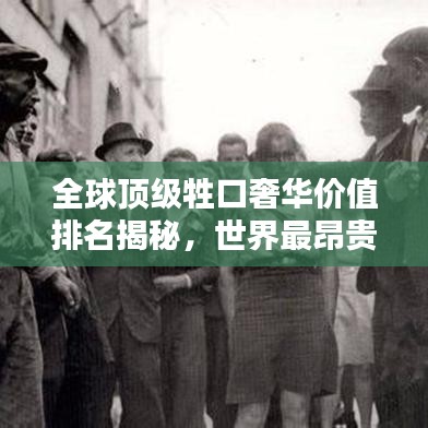 全球顶级牲口奢华价值排名揭秘，世界最昂贵牲口盘点