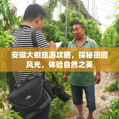 安徽大棚旅游攻略，探秘田园风光，体验自然之美
