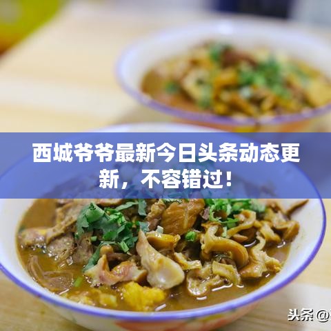 西城爷爷最新今日头条动态更新，不容错过！