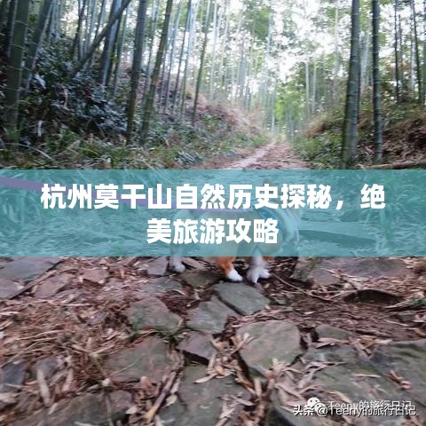 杭州莫干山自然历史探秘，绝美旅游攻略