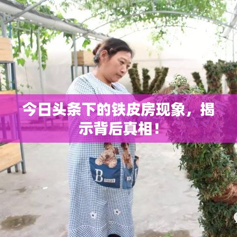今日头条下的铁皮房现象，揭示背后真相！