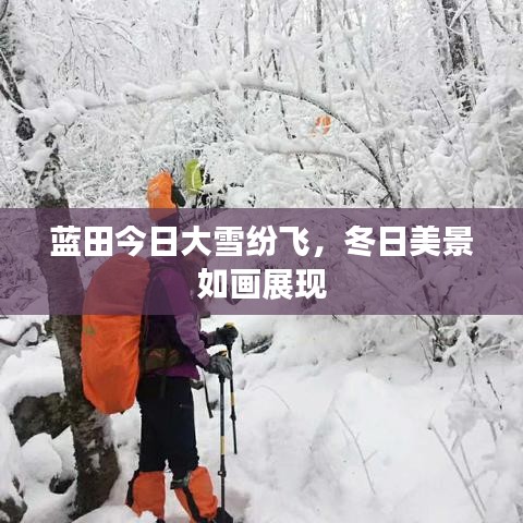 蓝田今日大雪纷飞，冬日美景如画展现