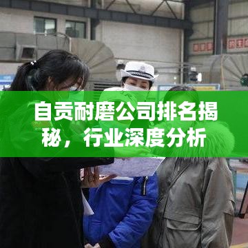 自贡耐磨公司排名揭秘，行业深度分析