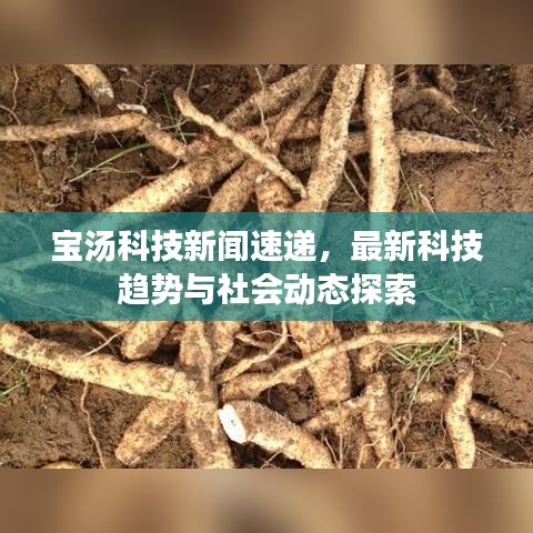 宝汤科技新闻速递，最新科技趋势与社会动态探索