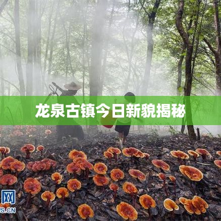 龙泉古镇今日新貌揭秘