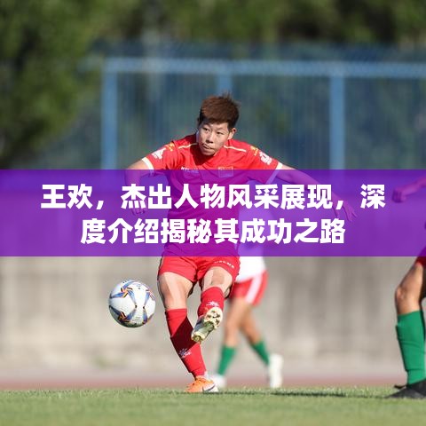 王欢，杰出人物风采展现，深度介绍揭秘其成功之路