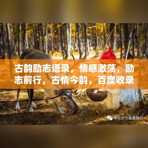 古韵励志语录，情感激荡，励志前行，古情今韵，百度收录标准标题
