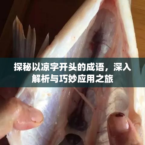 探秘以凉字开头的成语，深入解析与巧妙应用之旅