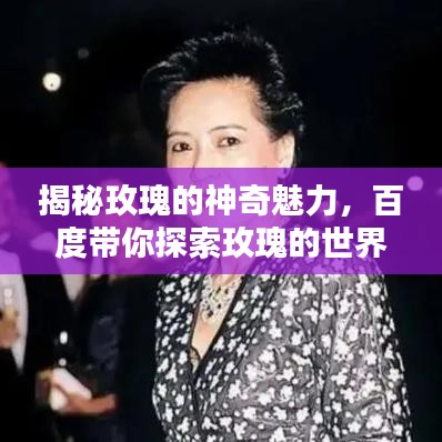 揭秘玫瑰的神奇魅力，百度带你探索玫瑰的世界
