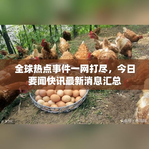 全球热点事件一网打尽，今日要闻快讯最新消息汇总