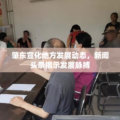 肇东宣化地方发展动态，新闻头条揭示发展脉搏