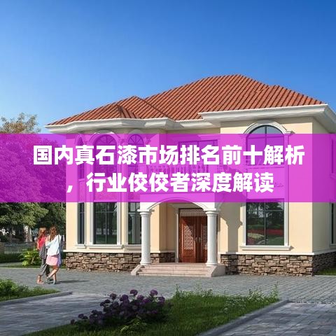 国内真石漆市场排名前十解析，行业佼佼者深度解读
