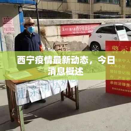 西宁疫情最新动态，今日消息概述