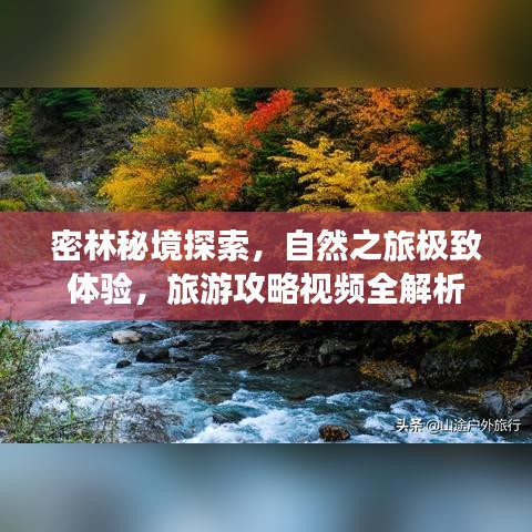 密林秘境探索，自然之旅极致体验，旅游攻略视频全解析