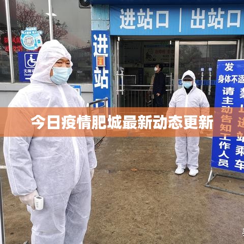今日疫情肥城最新动态更新
