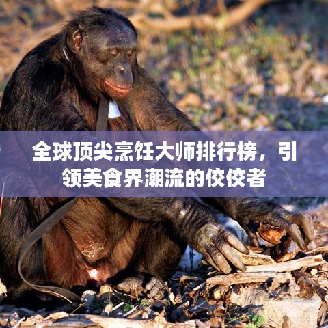 全球顶尖烹饪大师排行榜，引领美食界潮流的佼佼者