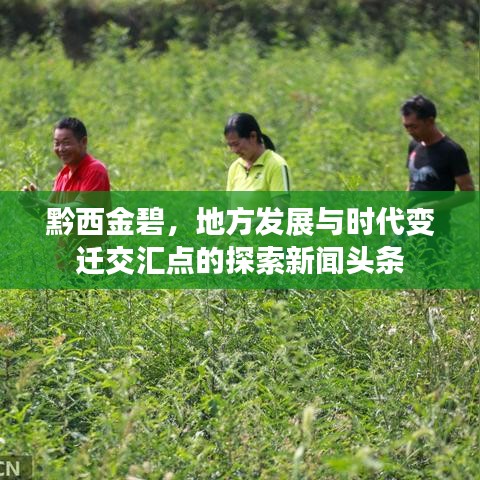 黔西金碧，地方发展与时代变迁交汇点的探索新闻头条