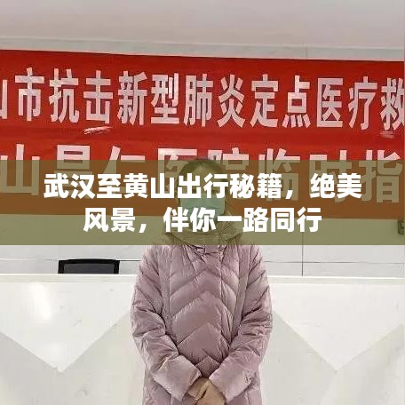 武汉至黄山出行秘籍，绝美风景，伴你一路同行