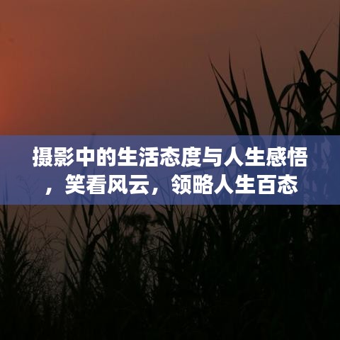 摄影中的生活态度与人生感悟，笑看风云，领略人生百态