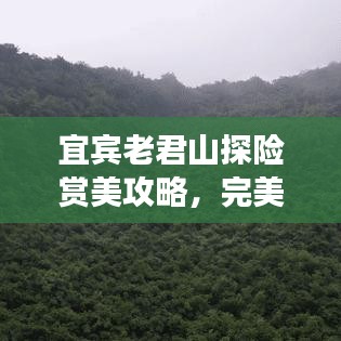 宜宾老君山探险赏美攻略，完美融合自然与冒险的旅行体验