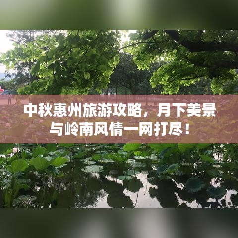 中秋惠州旅游攻略，月下美景与岭南风情一网打尽！
