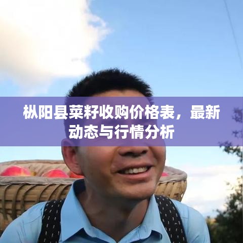 枞阳县菜籽收购价格表，最新动态与行情分析