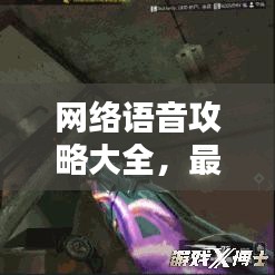 网络语音攻略大全，最新实用指南一网打尽！