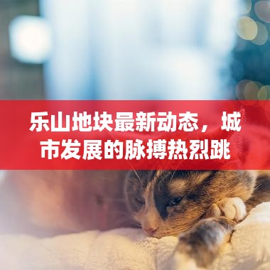 乐山地块最新动态，城市发展的脉搏热烈跳动
