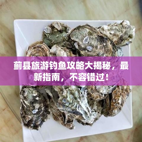 蓟县旅游钓鱼攻略大揭秘，最新指南，不容错过！